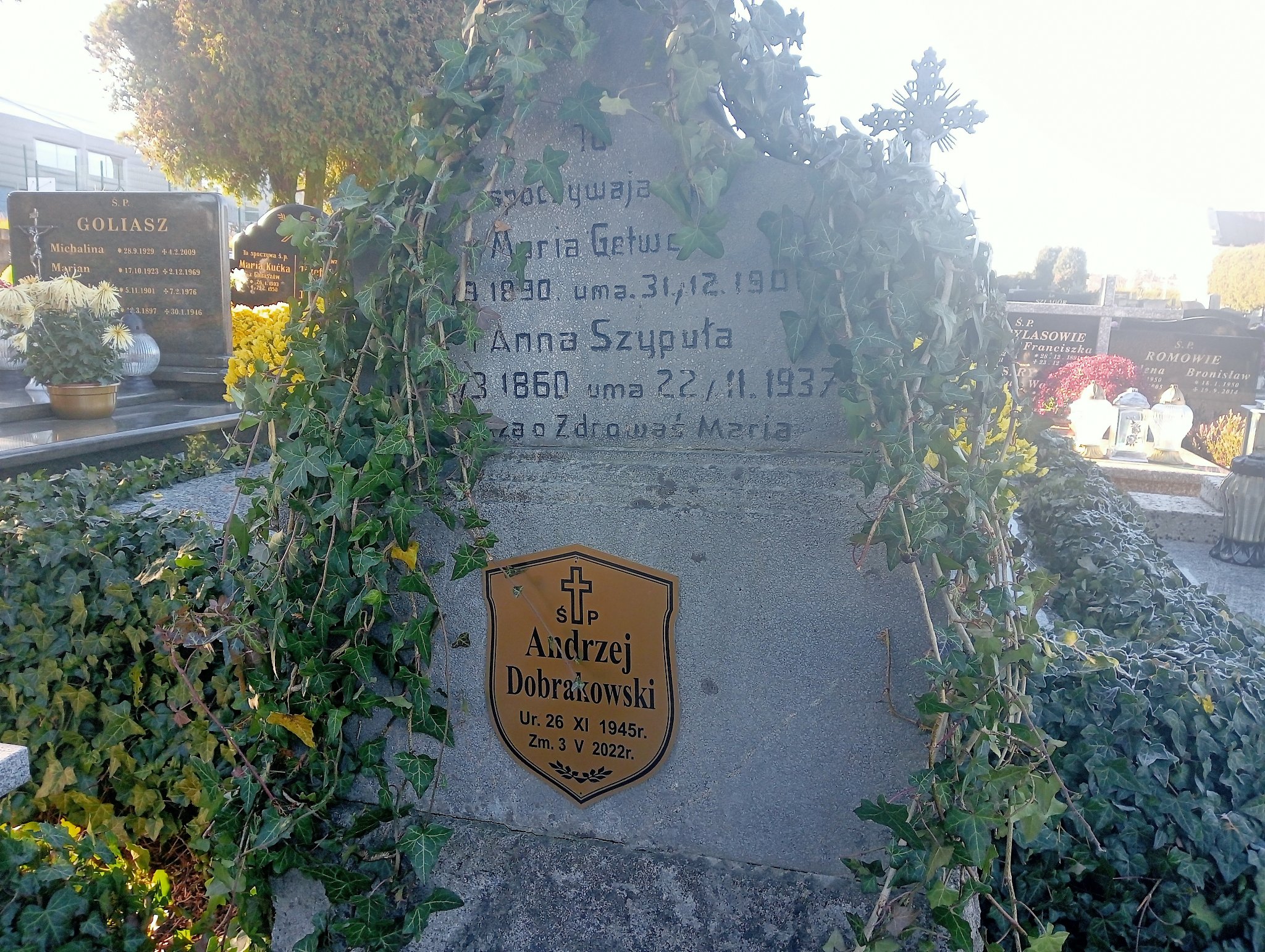 Anna Szypuła 1860 Kozy - Grobonet - Wyszukiwarka osób pochowanych