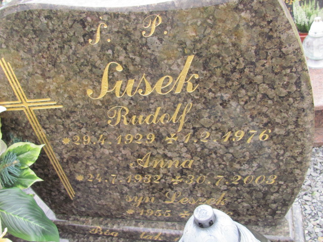 Rudolf Susek 1929 Kozy - Grobonet - Wyszukiwarka osób pochowanych