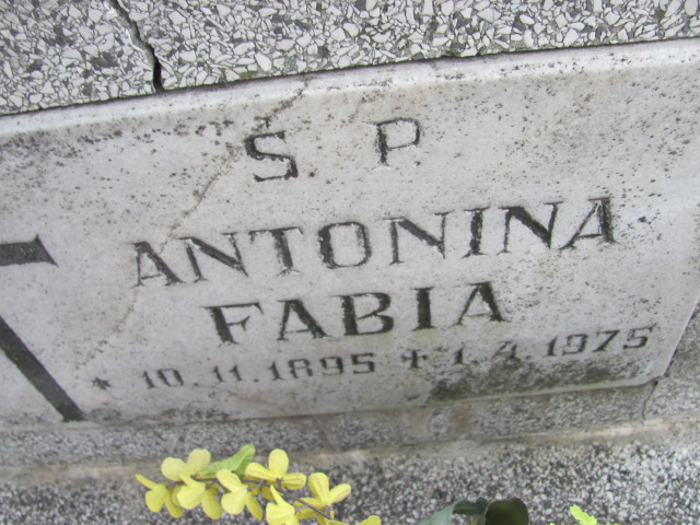 Antonina Fabia 1895 Kozy - Grobonet - Wyszukiwarka osób pochowanych
