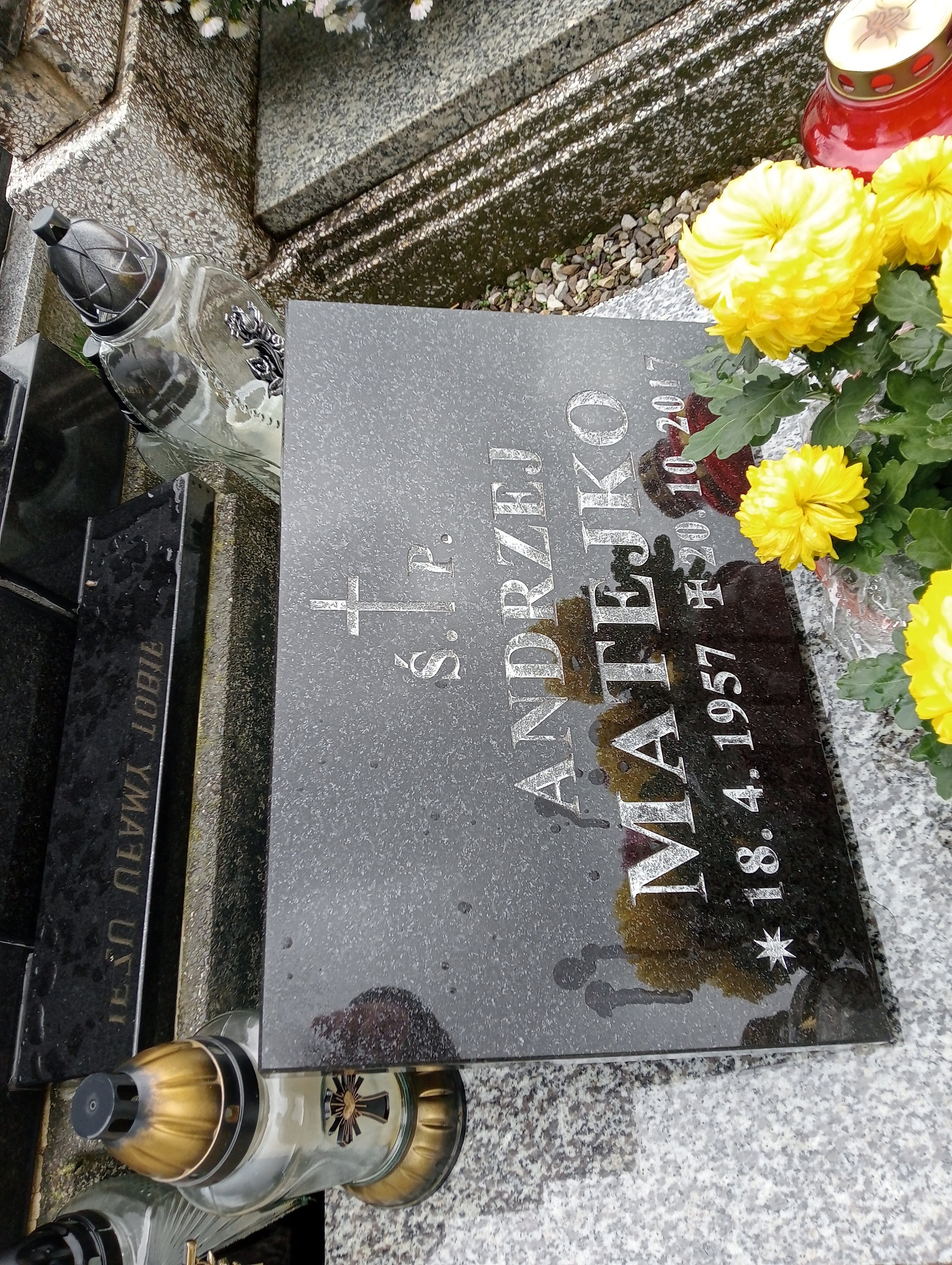 Maria Matejko 1907 Kozy - Grobonet - Wyszukiwarka osób pochowanych