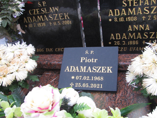 Anna Adamaszek 1896 Kozy - Grobonet - Wyszukiwarka osób pochowanych