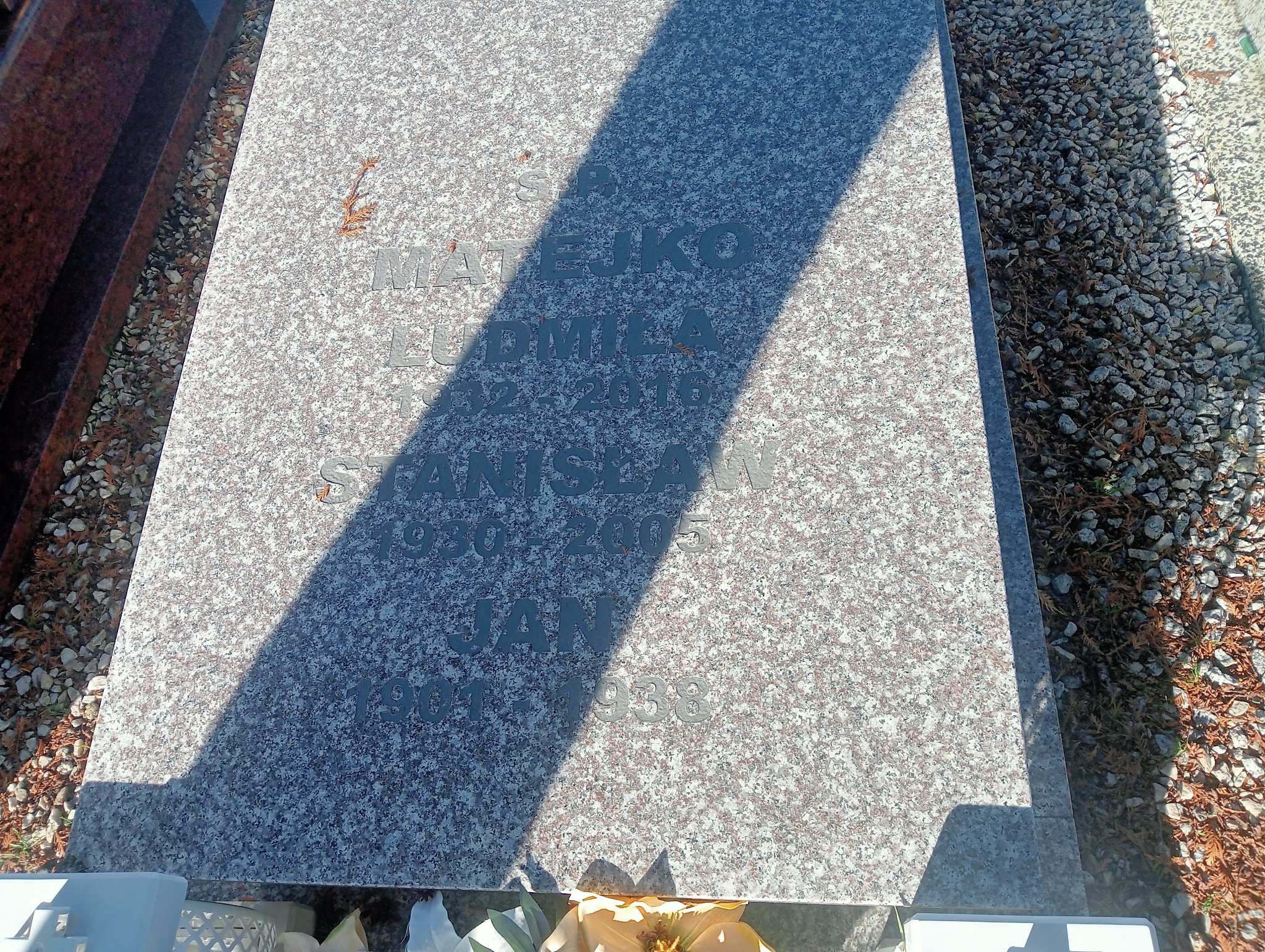 Jan Matejko 1900 Kozy - Grobonet - Wyszukiwarka osób pochowanych