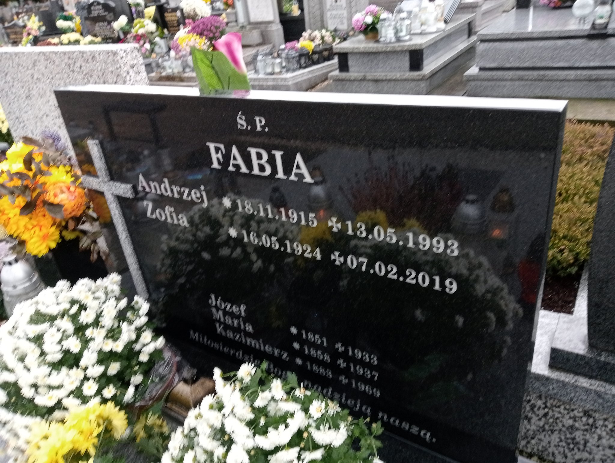Zofia Fabia 1924 Kozy - Grobonet - Wyszukiwarka osób pochowanych
