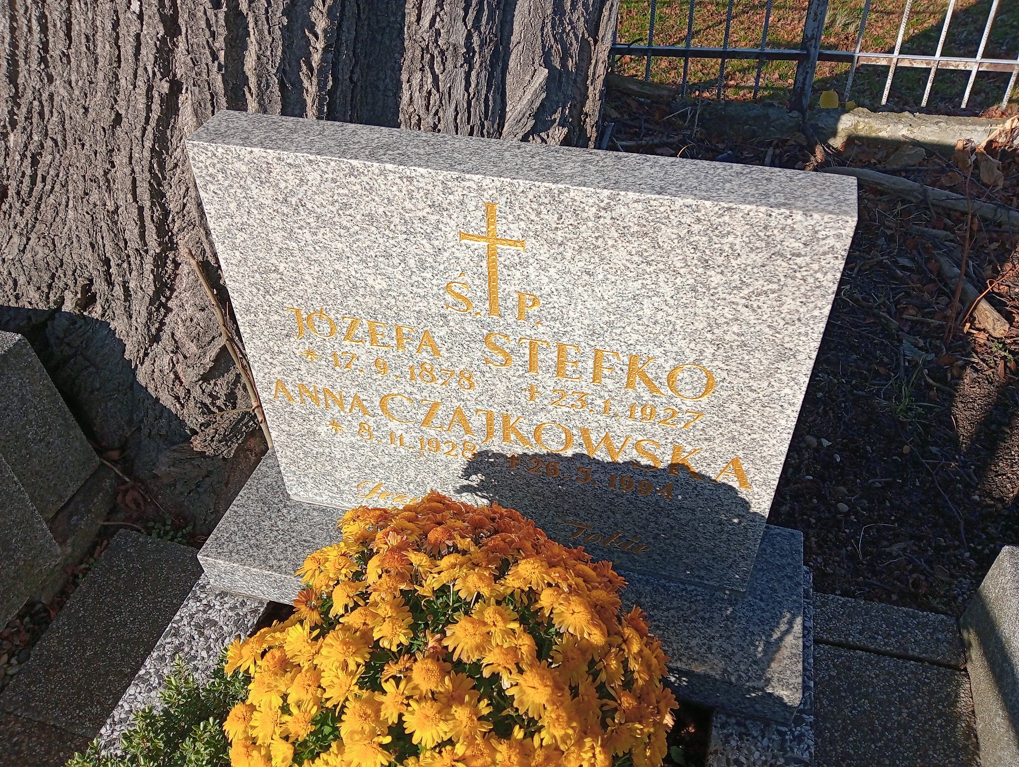  NN Kozy - Grobonet - Wyszukiwarka osób pochowanych