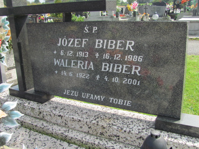 Józef Biber 1913 Kozy - Grobonet - Wyszukiwarka osób pochowanych