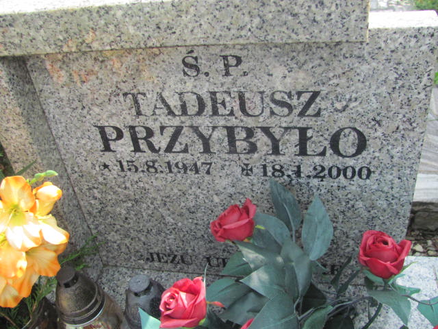 Tadeusz Przybyło 1947 Kozy - Grobonet - Wyszukiwarka osób pochowanych